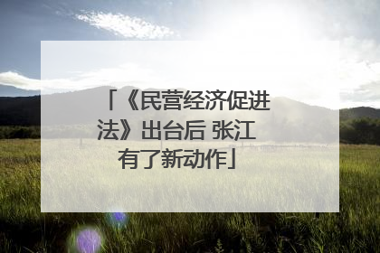 《民营经济促进法》出台后 张江有了新动作