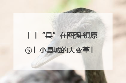 「“县”在图强·镇原⑤」小县城的大变革