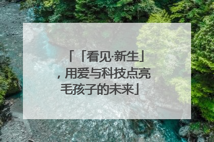 「看见·新生」，用爱与科技点亮毛孩子的未来