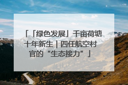 「绿色发展」千亩荷塘 十年新生｜四任航空村官的“生态接力”