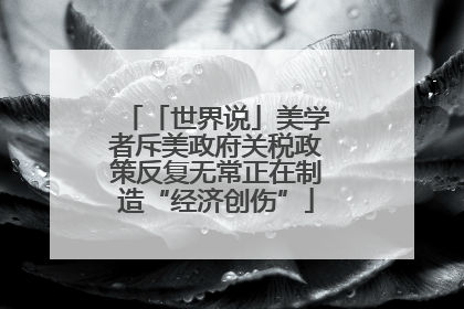「世界说」美学者斥美政府关税政策反复无常正在制造“经济创伤”