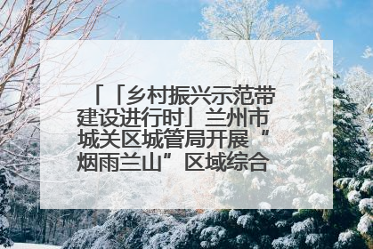 「乡村振兴示范带建设进行时」兰州市城关区城管局开展“烟雨兰山”区域综合整治专项行动