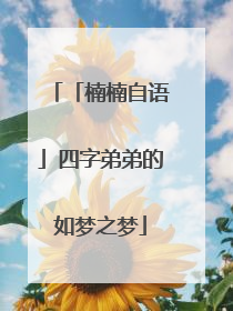 「楠楠自语」四字弟弟的如梦之梦