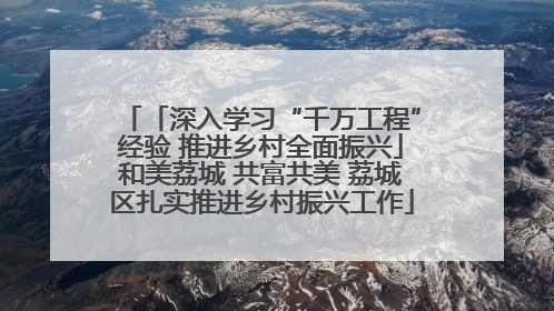 「深入学习“千万工程”经验 推进乡村全面振兴」和美荔城 共富共美 荔城区扎实推进乡村振兴工作