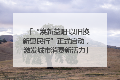 “焕新益阳·以旧换新惠民行”正式启动，激发城市消费新活力
