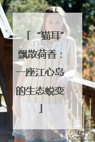 “猫耳”飘散荷香：一座江心岛的生态蜕变
