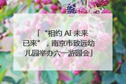 “相约 AI 未来已来”，南京市致远幼儿园举办六一游园会