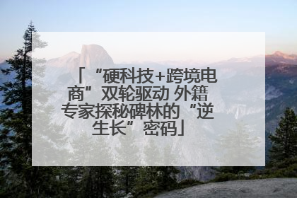 “硬科技+跨境电商”双轮驱动 外籍专家探秘碑林的“逆生长”密码
