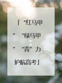 “红马甲”“绿马甲”“青”力护航高考