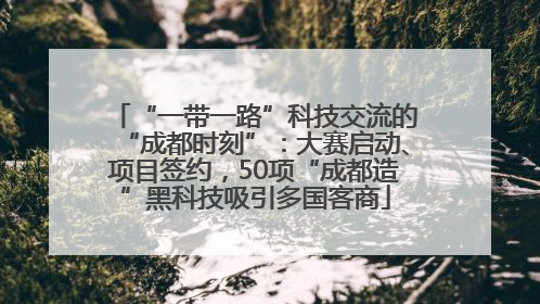 “一带一路”科技交流的“成都时刻”：大赛启动、项目签约，50项“成都造”黑科技吸引多国客商