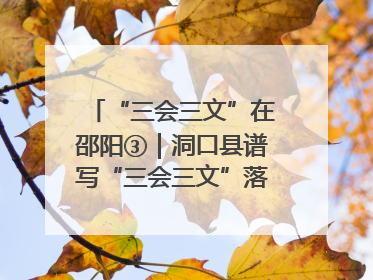 “三会三文”在邵阳③｜洞口县谱写“三会三文”落实新篇章 构建协同联动大格局