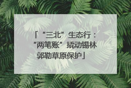 “三北”生态行：“两笔账”撬动锡林郭勒草原保护