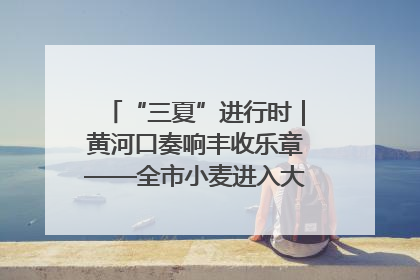 “三夏”进行时｜黄河口奏响丰收乐章——全市小麦进入大面积收获高峰期