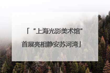 “上海光影美术馆”首展亮相静安苏河湾