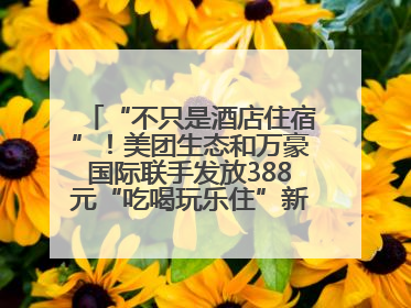 “不只是酒店住宿”！美团生态和万豪国际联手发放388元“吃喝玩乐住”新会员礼包