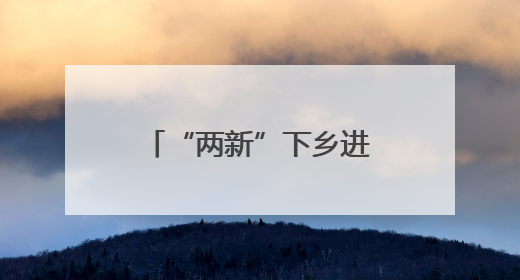 “两新”下乡进村 激活农村市场消费新活力