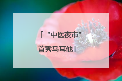 “中医夜市”首秀马耳他