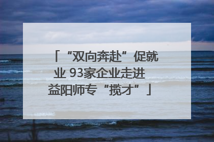 “双向奔赴”促就业 93家企业走进益阳师专“揽才”