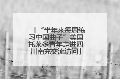“半年来每周练习中国曲子”美国托莱多青年走进四川南充交流访问