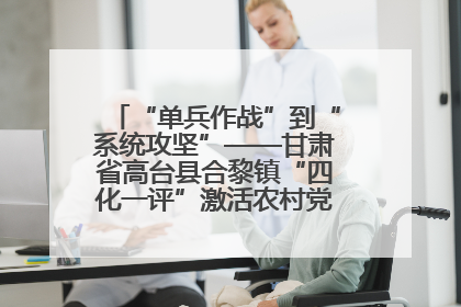 “单兵作战”到“系统攻坚”——甘肃省高台县合黎镇“四化一评”激活农村党员管理新引擎