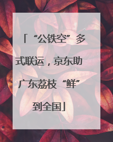 “公铁空”多式联运，京东助广东荔枝“鲜”到全国