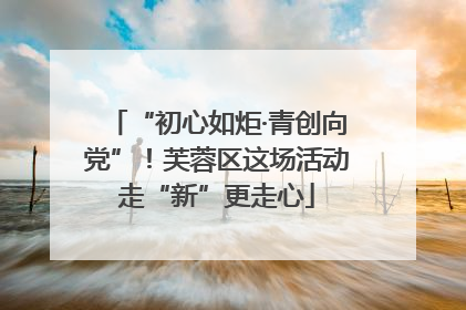 “初心如炬·青创向党”！芙蓉区这场活动走“新”更走心