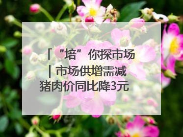 “培”你探市场｜市场供增需减 猪肉价同比降3元 未来40天便宜猪肉敞开吃