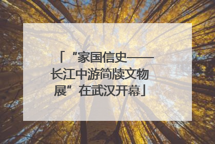 “家国信史——长江中游简牍文物展”在武汉开幕