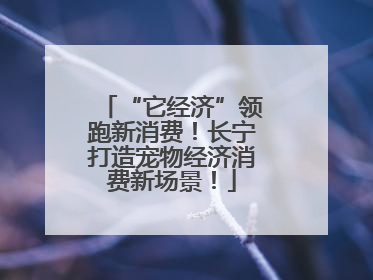 “它经济”领跑新消费！长宁打造宠物经济消费新场景！