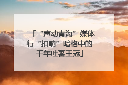 “声动青海”媒体行“扣响”暗格中的千年吐蕃王冠