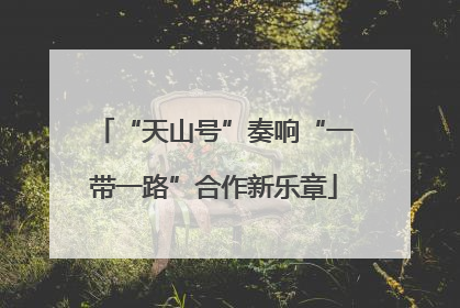 “天山号”奏响“一带一路”合作新乐章