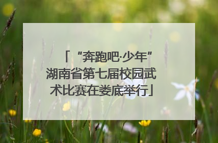 “奔跑吧·少年”湖南省第七届校园武术比赛在娄底举行