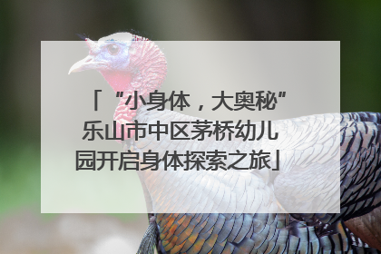 “小身体，大奥秘” 乐山市中区茅桥幼儿园开启身体探索之旅