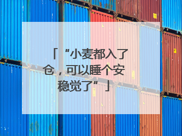 “小麦都入了仓，可以睡个安稳觉了”