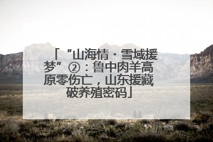 “山海情・雪域援梦”②：鲁中肉羊高原零伤亡，山东援藏破养殖密码