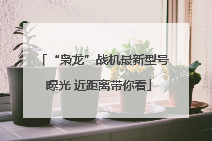 “枭龙”战机最新型号曝光 近距离带你看