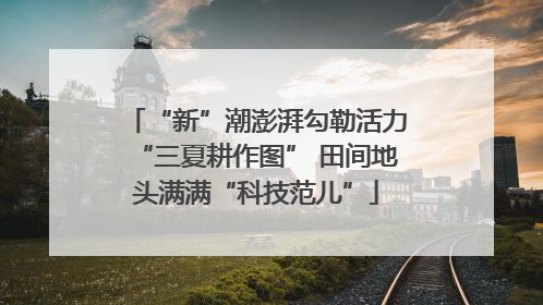 “新”潮澎湃勾勒活力“三夏耕作图” 田间地头满满“科技范儿”