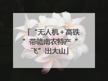 “无人机＋高铁”带赣南农特产“飞”出大山