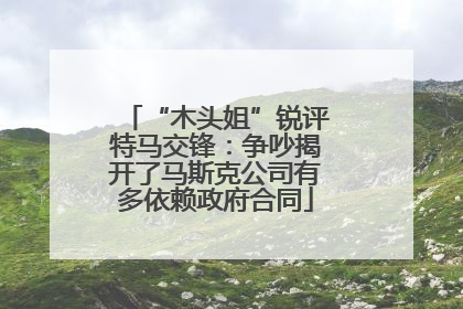 “木头姐”锐评特马交锋：争吵揭开了马斯克公司有多依赖政府合同
