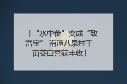 “水中参”变成“致富宝” 南漳八泉村千亩茭白喜获丰收