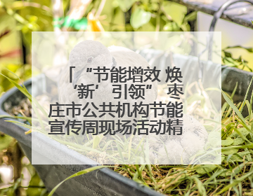 “节能增效 焕‘新’引领” 枣庄市公共机构节能宣传周现场活动精彩纷呈