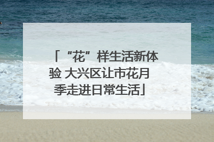 “花”样生活新体验 大兴区让市花月季走进日常生活