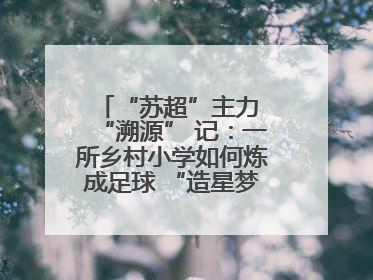 “苏超”主力 “溯源” 记：一所乡村小学如何炼成足球 “造星梦工场”