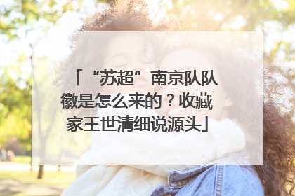 “苏超”南京队队徽是怎么来的？收藏家王世清细说源头