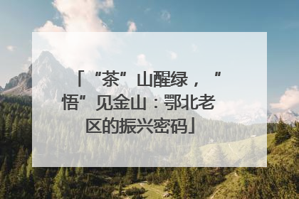 “茶”山醒绿，“悟”见金山：鄂北老区的振兴密码