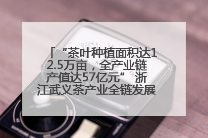 “茶叶种植面积达12.5万亩，全产业链产值达57亿元” 浙江武义茶产业全链发展“加速度”