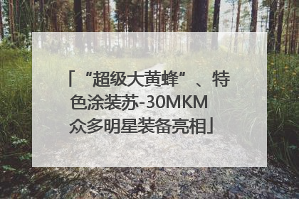 “超级大黄蜂”、特色涂装苏-30MKM 众多明星装备亮相