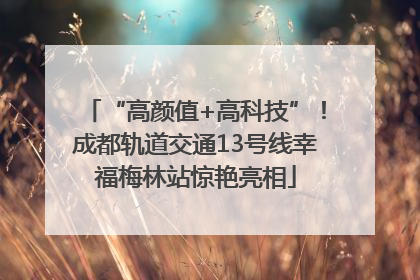 “高颜值+高科技”！成都轨道交通13号线幸福梅林站惊艳亮相