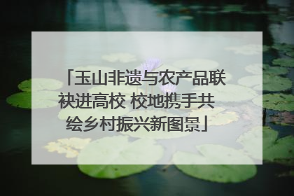 玉山非遗与农产品联袂进高校 校地携手共绘乡村振兴新图景