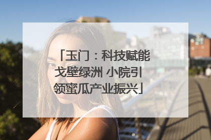 玉门：科技赋能戈壁绿洲 小院引领蜜瓜产业振兴